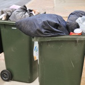 rubbish, bin, trash