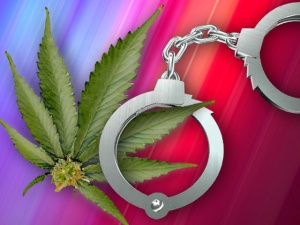 weed-arrests