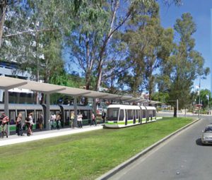 An artist's impression of the light rail along Northbourne Avenue. 