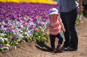 A young Floriade attendee. 
