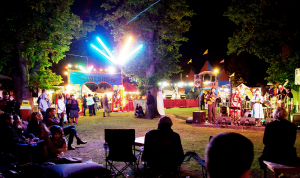 The Village sideshow & stage site