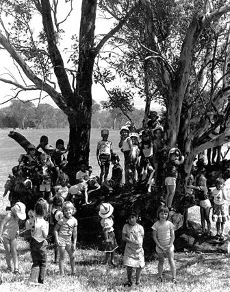 1980 circa Climbing Trees - School Fun Day at the Farm