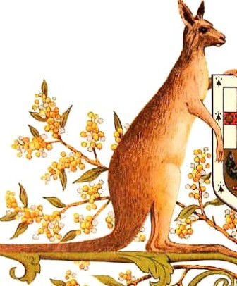 Kangaroo on  coat of arms, inspired by Stubbs