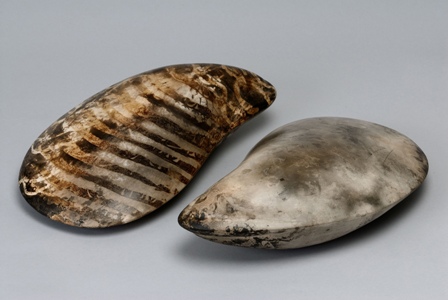 Anneke Paijmans, 'Mussels,' smoke fired ceramic, 2012, 30 x 30cm