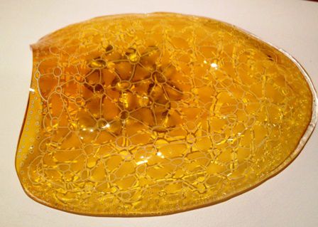 Turtle shell glasswork by Lyndy Delian