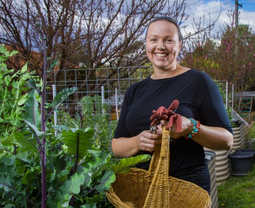 “Urban homesteader” Bec Pollock… “It’s about doing things for yourself and your family to provide essential elements... then sharing it in the community,” Photo by Brent McDonald 