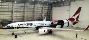 The new B737, darker tail colour