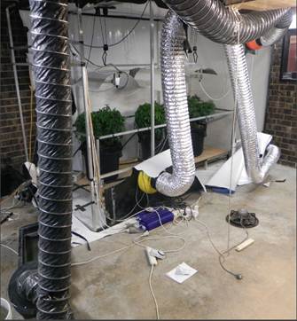 A hydroponic chamber found in a house in Hackett today.