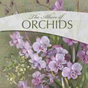 the-allure-of-orchids