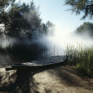 The marsh pond in the Sculpture Garden (background) Fujiko Nakaya 