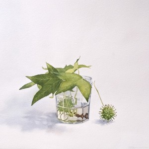 Tiffanie Brown, Leaf, seed and jam jar, 2014