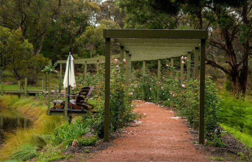 Monica and Allan Schmidt’s new rose arbour... “Nine months, 74 holes, 8.5 cubic metres of concrete, 300 metres of wire, 38 roses, 650 lineal metres of timber and one shoulder reconstruction.” Photos by Gary Schafer 