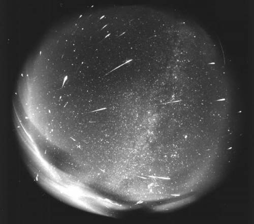 leonid meteors