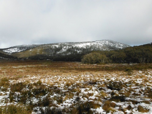 Snow on Mount Gingera