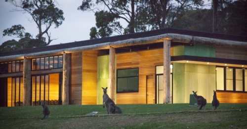 Windsong Pavilion with roos,   photo by Robert Tacheci