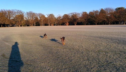 frost and kelpies