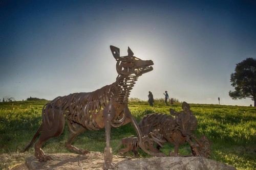 Sculptpr Ross Fairley's family of thylacines. Photo by Alex Tewes