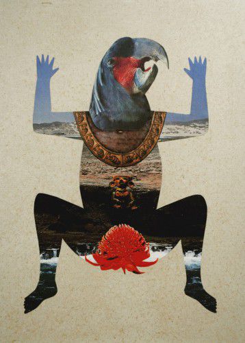 'Black Waratah', Louise Upshall, mixed media, 2014