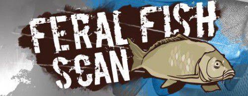 feral fish