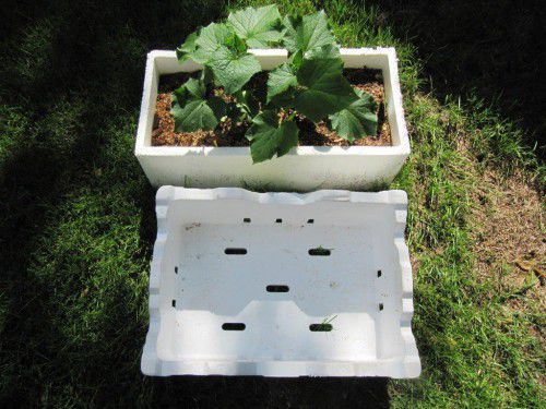 A mini veggie garden… look for the sort of polyurethane boxes thrown out by supermarkets.