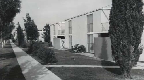 The Australian News and Information Bureau’s 1963 photo of Northbourne Avenue flats. Photo National Library of Australia 