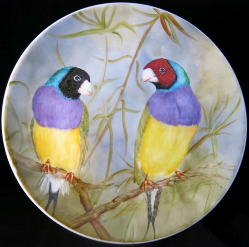 Bronwhyn Smith - Gouldian Finches - Plate