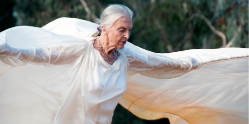 Australian Dance Theatre founder Elizabeth Cameron Dalman… still dancing at 81. 