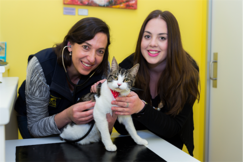 Jana Stevenson, veterinary surgeon at Curtin Vet Clinic, left and Alexandra Craig with Robinson... “Cats can be valuable for companionship and I wouldn’t want to deny anyone the right to have a pet... but we don’t want them to have eight kittens!” Photo by Andrew Finch