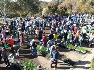 Crowd at a former plant sale