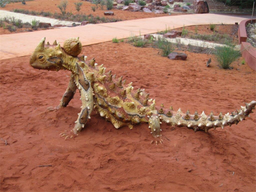 Desert dragon on the children’s trail... where they can track native animals and not be too frightened by the super-enlarged versions reminiscent of the dinosaur age. 