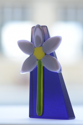 “Flower”, a Canberra bluebell