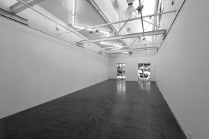 Inside ANCA Gallery
