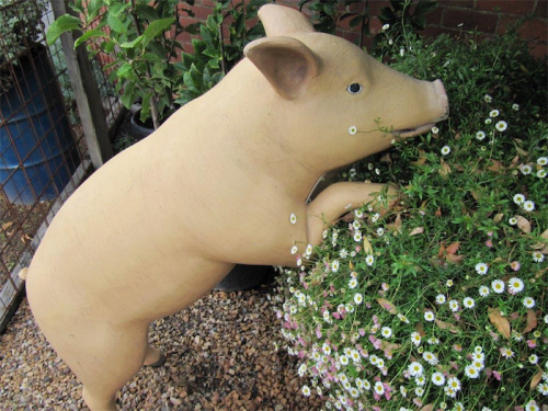 A stone pig… for a little fun consider something from the seemingly limitless range of statues and sculptures. 