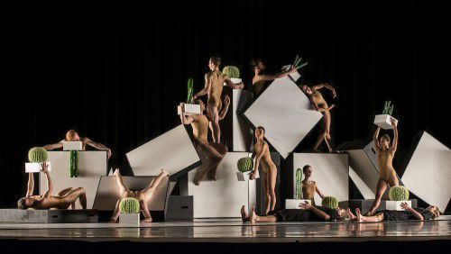 Sydney Dance Company Cacti (2). Photo by Peter Greig