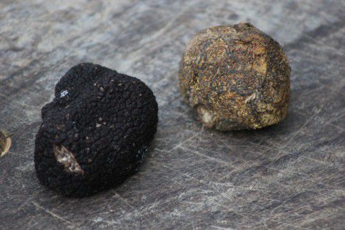 Right to left: Black diamond truffle and Bohemian trufle