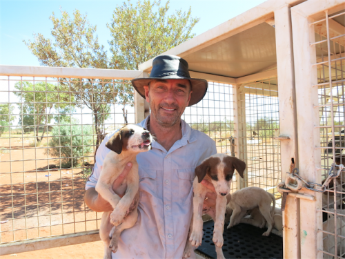 Dr Michael Archinal, of Manuka Veterinary Hospital, with young dogs in the NT. 