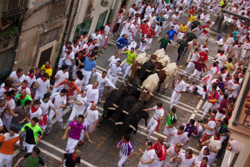 Running of the bulls in Pamplona... in Canberra we have the “Running of the Red Lights”. 
