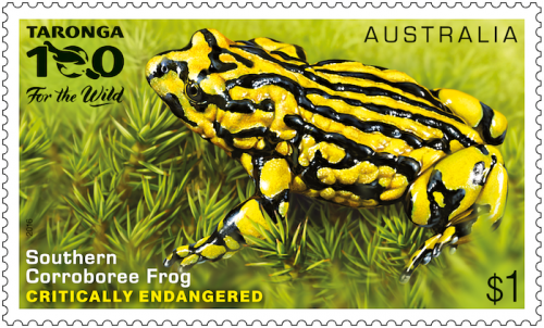 The Southern Corroboree Frog stamp from the new "Endangered Wildlife" collection. 