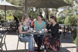 Australian National Botanic Gardens. Activities for groups. Venue hire. Cafe.