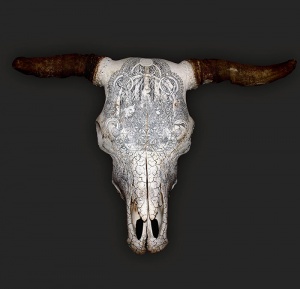 G[RAZED] pen and ink on bull skull, Dan Power 