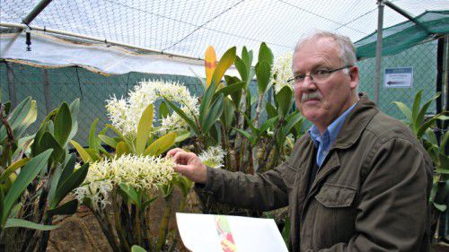 The Westonbirt Orchid Medal goes to Canberra’s Mark Clements