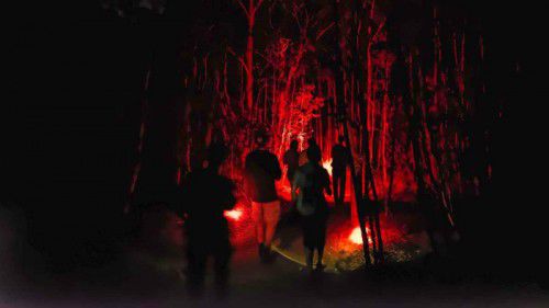 Your chance to explore Tidbinbilla after dark