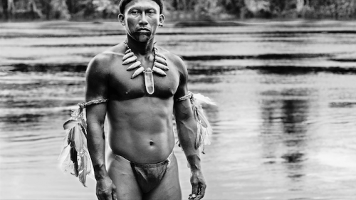 Review / ‘Embrace of the Serpent’ (M) ****