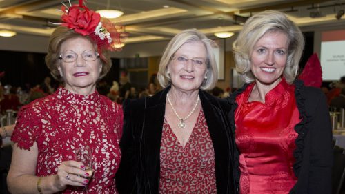 Socials / At the Women in Racing spring charity lunch, Woden