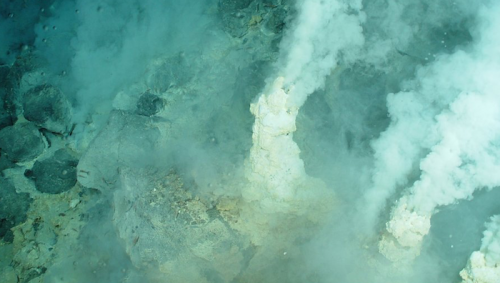 How did the earliest forms of life evolve?