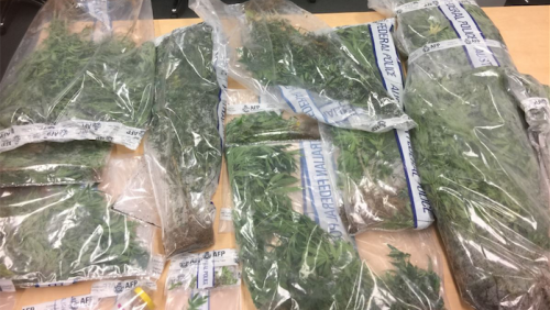 Drug haul comes from anonymous tip