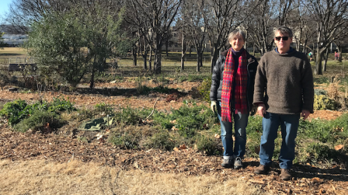 Food forest welcomes foragers all