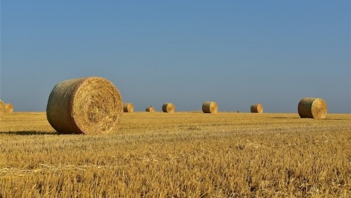 ACT government commits to helping Canberra farmers