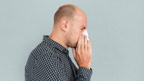 What’s the difference between hay fever and a cold?