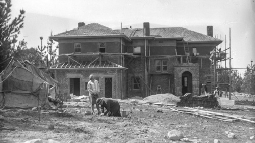 Restoring an orchard from the archives